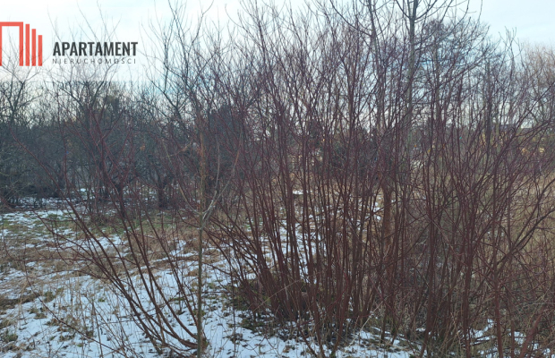 Działka z WZ i stawem