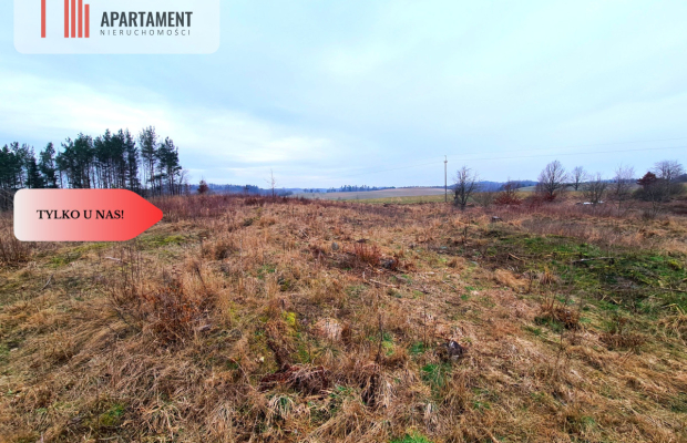 Działka 350m od jeziora!!