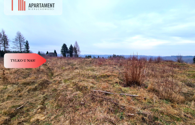 Działka 350m od jeziora!!