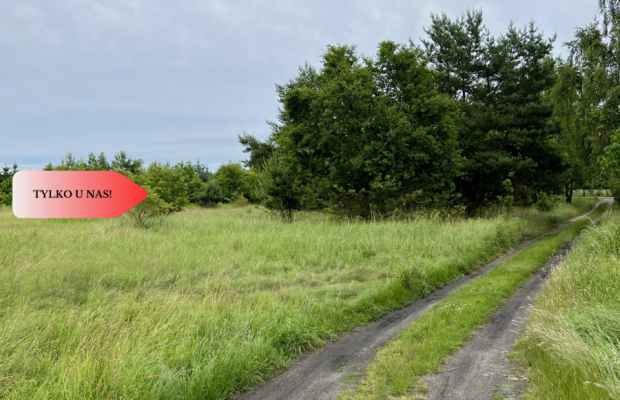 BEZ PCC! Działki Budowlane Lubiąż! FV! MPZP!