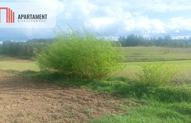 Piękna działka w pobliżu jeziora i lasy