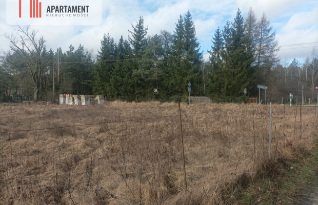 Piękna działka w pobliżu jeziora i lasy