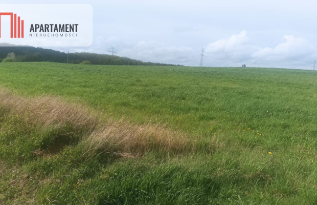 Piękna działka w pobliżu jeziora i lasy