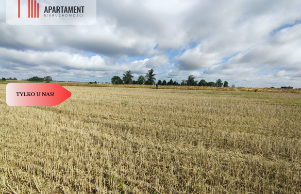 TYLKO U NAS! DZIAŁKA Z WARUNKAMI ZABUDOWY, MEDIA!