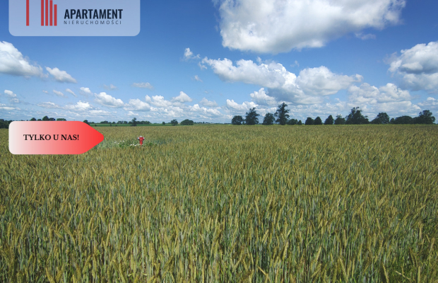 TYLKO U NAS! DZIAŁKA Z WARUNKAMI ZABUDOWY, MEDIA!