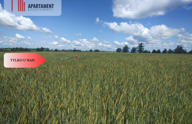 TYLKO U NAS! DZIAŁKA Z WARUNKAMI ZABUDOWY, MEDIA!