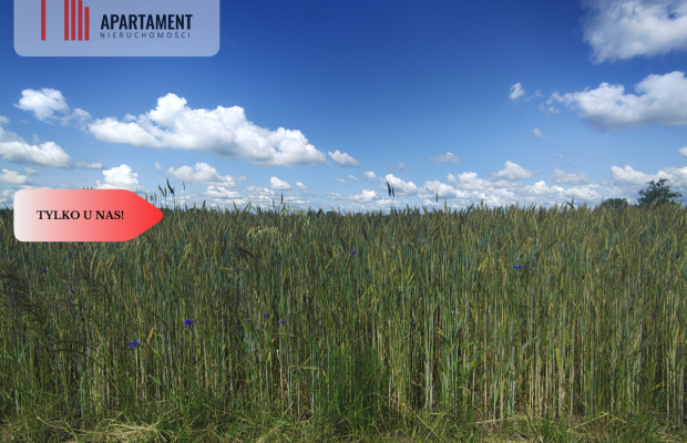 TYLKO U NAS! DZIAŁKA Z WARUNKAMI ZABUDOWY, MEDIA!