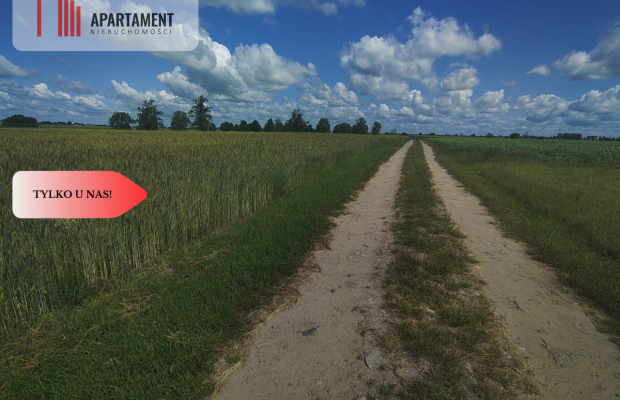 TYLKO U NAS! DZIAŁKA Z WARUNKAMI ZABUDOWY, MEDIA!