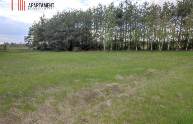 DZIAŁKI BUDOWLANE w SZUBINIE WARUNKI ZABUDOWY!