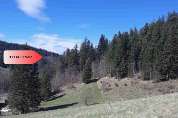 Teren niezalewowy w górach-działki 2000mkw