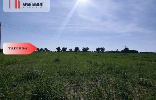 Działka 3000 mkw z WZ – spokojna okolica