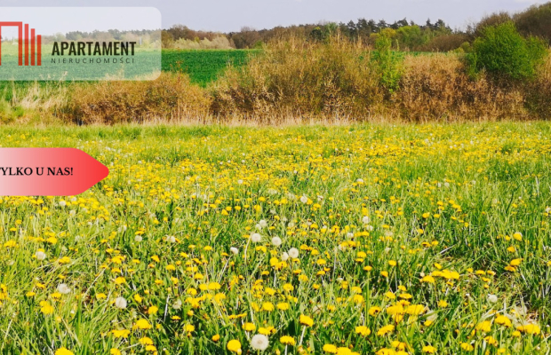 Działka 3000 mkw z WZ – spokojna okolica