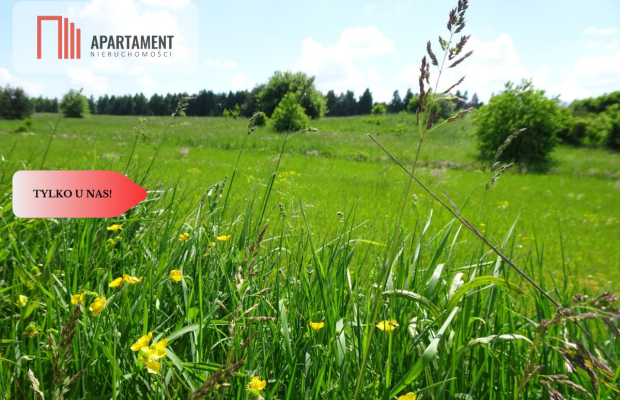 Działka 3000 mkw z WZ – spokojna okolica