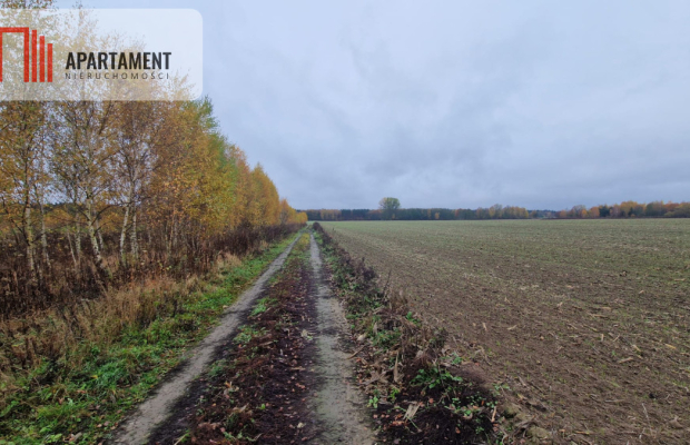 Działka z warunkami zabudowy