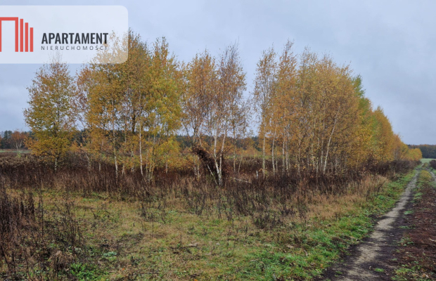 Działka z warunkami zabudowy