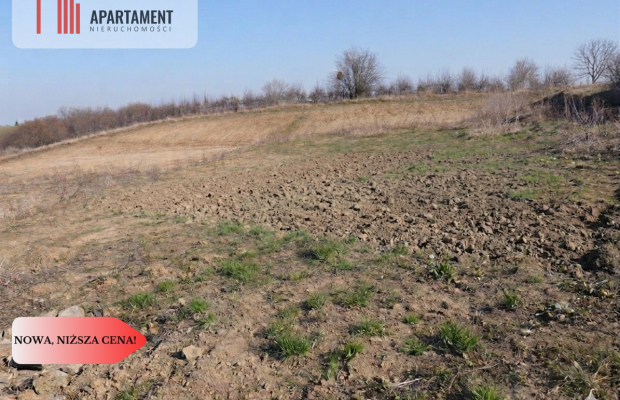 Piękna działka Bałdowo Nowa Cena!