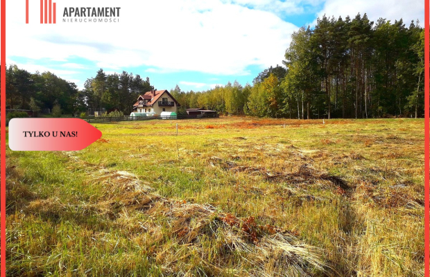 TYLKO U NAS !!! TOPORZYSKO 1000 m2 - LAS ICISZA