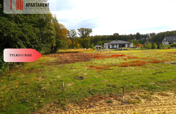 TYLKO U NAS !!! TOPORZYSKO 1000 m2 - LAS ICISZA