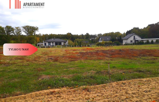 TYLKO U NAS !!! TOPORZYSKO 1000 m2 - LAS ICISZA