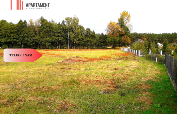 TYLKO U NAS !!! TOPORZYSKO 1000 m2 - LAS ICISZA