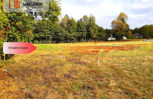 TYLKO U NAS !!! TOPORZYSKO 1000 m2 - LAS ICISZA