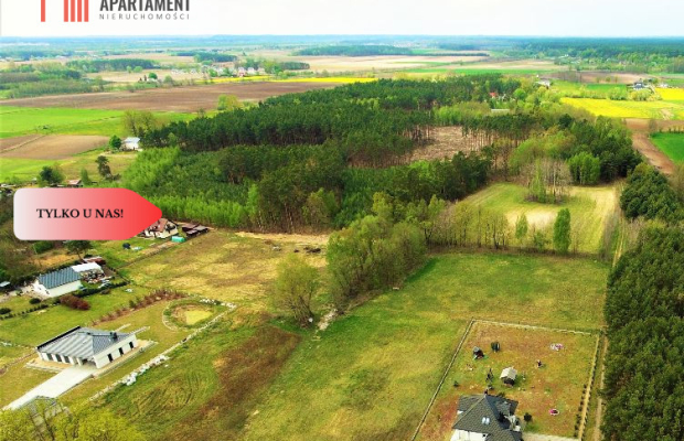 TYLKO U NAS !!! TOPORZYSKO 1000 m2 - LAS ICISZA