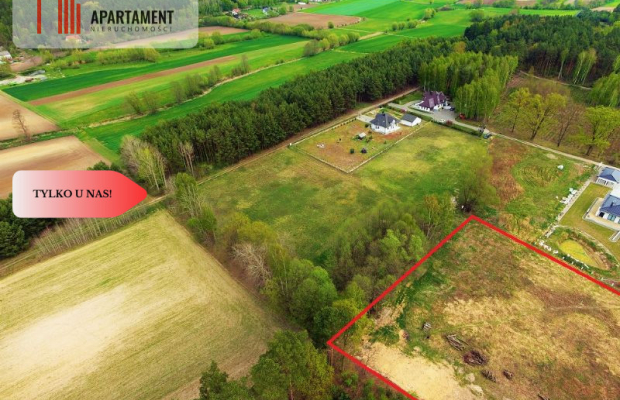 TYLKO U NAS !!! TOPORZYSKO 1000 m2 - LAS ICISZA