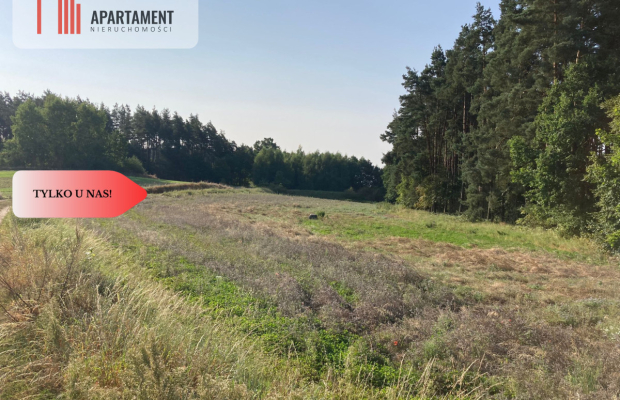 Działka budowlana na sprzedaż obok Starogardu