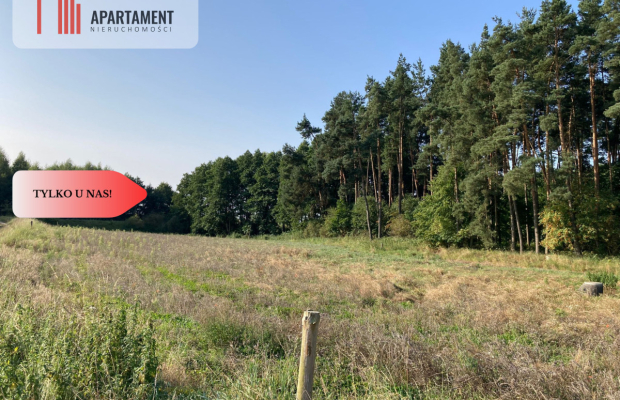 Działka budowlana na sprzedaż obok Starogardu