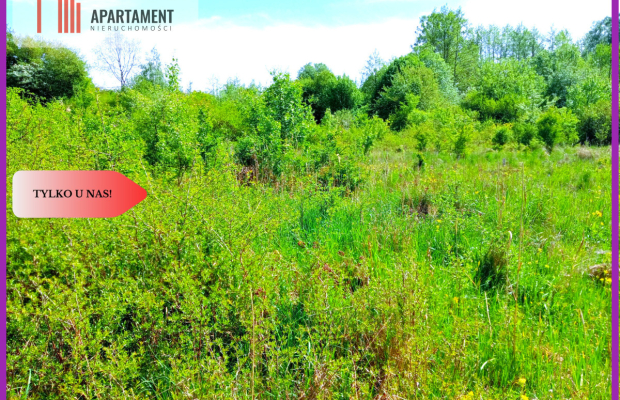 Piękna działka 150 m od Brdy