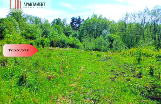 Piękna działka 150 m od Brdy