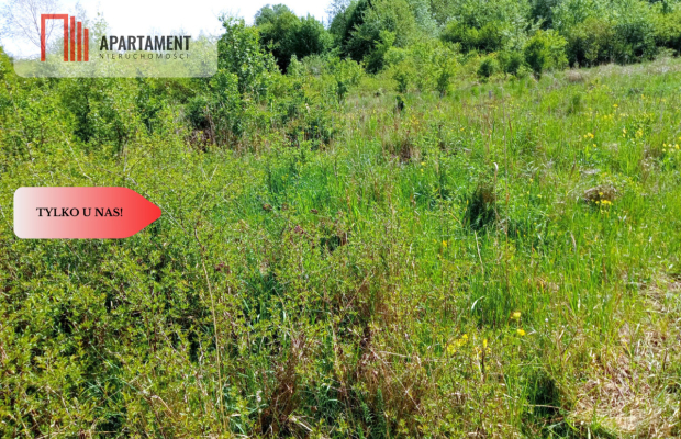 Piękna działka 150 m od Brdy