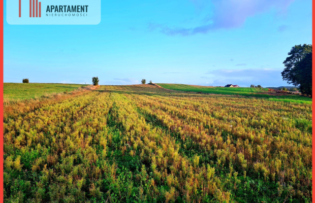 OKAZJA! Działki usługowo-mieszkalne w Skorzewie!!