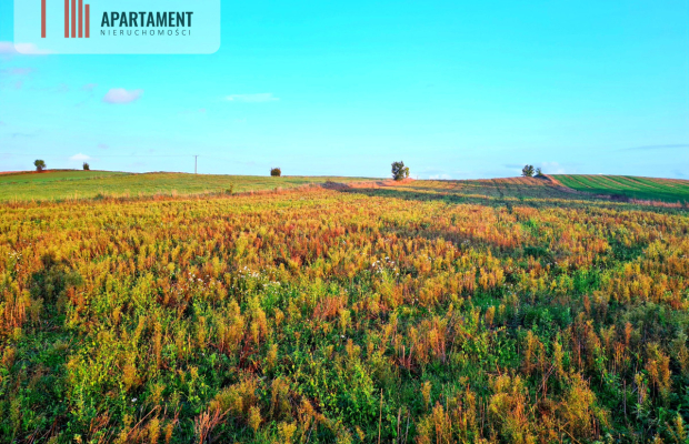 OKAZJA! Działki usługowo-mieszkalne w Skorzewie!!