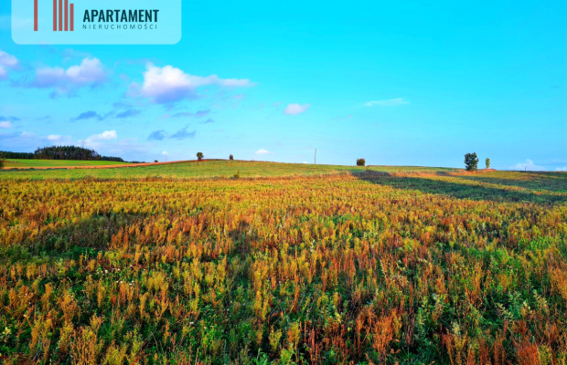 OKAZJA! Działki usługowo-mieszkalne w Skorzewie!!