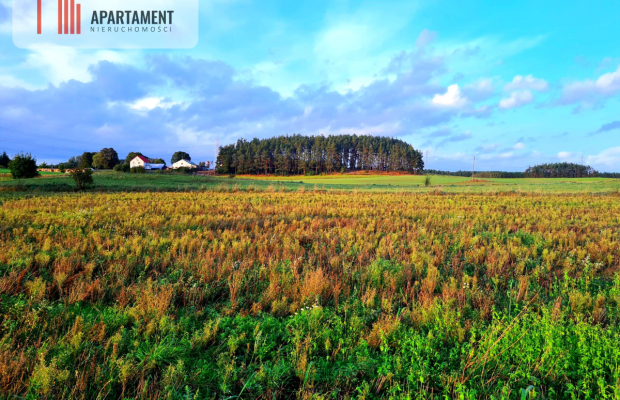 OKAZJA! Działki usługowo-mieszkalne w Skorzewie!!