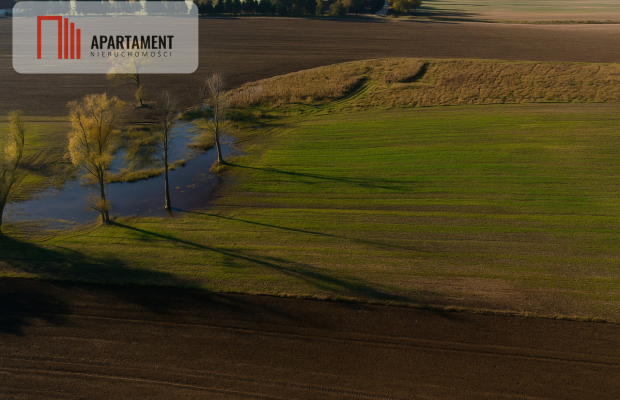 DZIAŁKA INWESTYCYJNA 4 HA – KAMIEŃ DUŻY