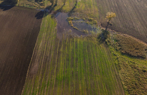 DZIAŁKA INWESTYCYJNA 4 HA – KAMIEŃ DUŻY