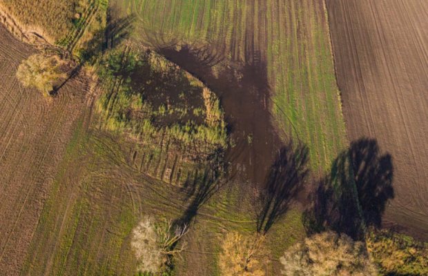 DZIAŁKA INWESTYCYJNA 4 HA – KAMIEŃ DUŻY