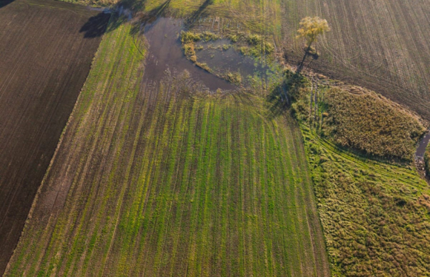 DZIAŁKA INWESTYCYJNA 4 HA – KAMIEŃ DUŻY