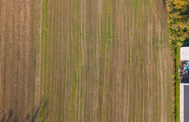 DZIAŁKA INWESTYCYJNA 4 HA – KAMIEŃ DUŻY