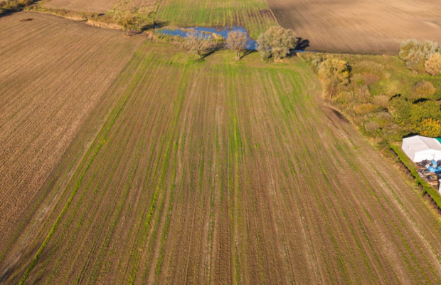 DZIAŁKA INWESTYCYJNA 4 HA – KAMIEŃ DUŻY