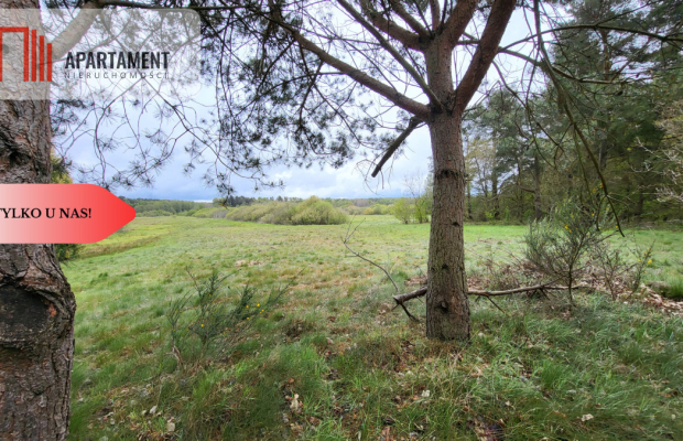 Łąki w Staniewicach,