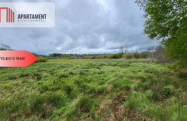 Łąki w Staniewicach,