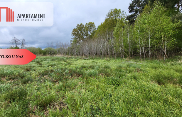 Łąki w Staniewicach,