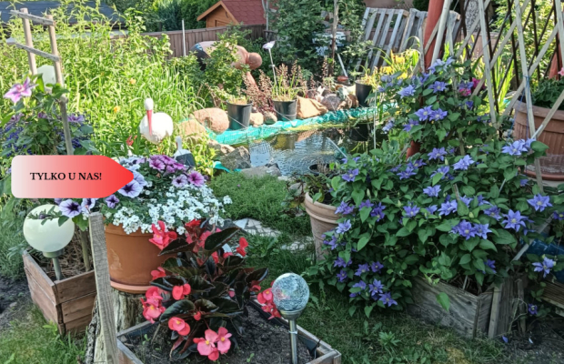 Działka rod, domek całoroczny., woda,  Bydgoszcz