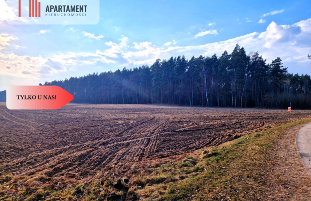 Działki budowlane 200m od rzeki Wdy. Tylko u Nas!