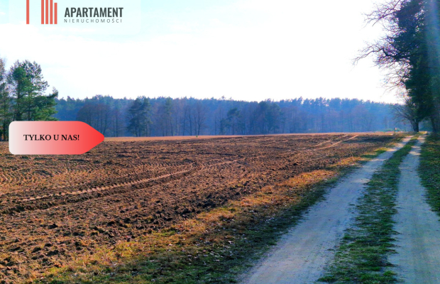 Działki budowlane 200m od rzeki Wdy. Tylko u Nas!