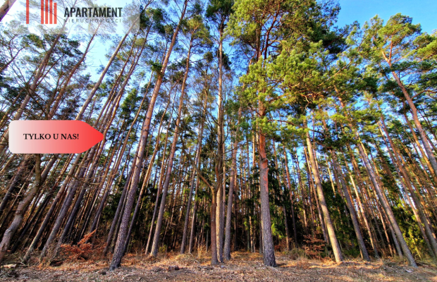 Działki budowlane 200m od rzeki Wdy. Tylko u Nas!