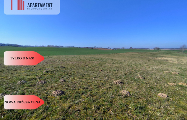 Działki w super cenie z decyzją o wz! Jastrzębiec